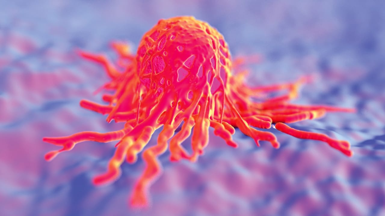 Oncological Research and Academics
